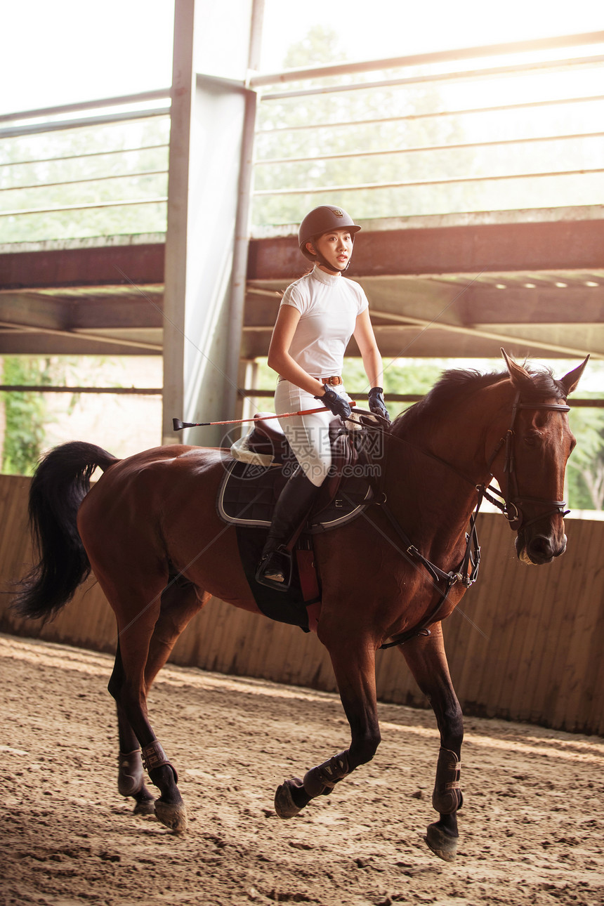 场内骑马的年轻女子图片