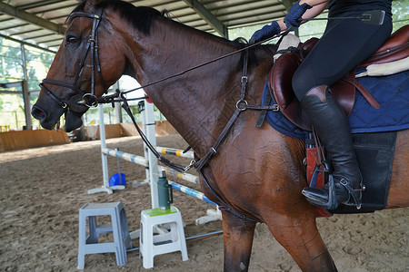 障碍训练场上骑马的年轻女子局部特写高清图片