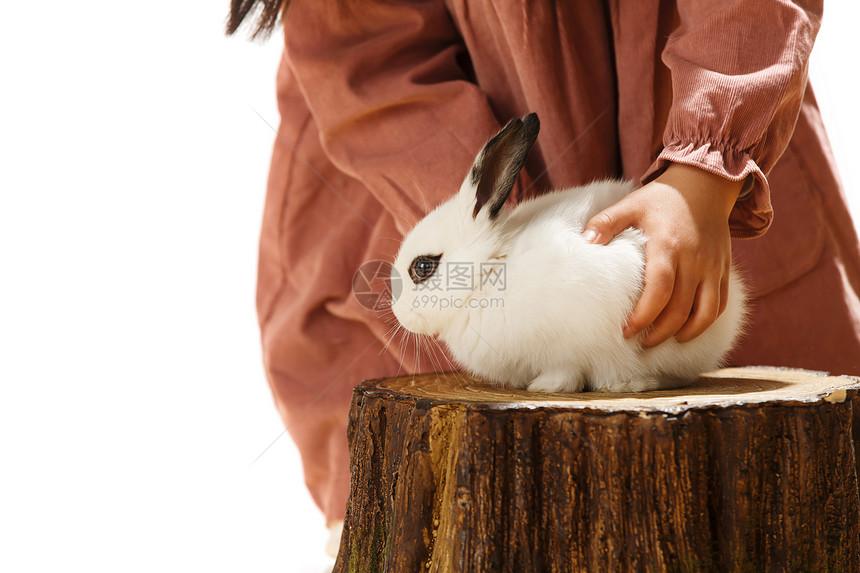 小女孩和小兔子图片