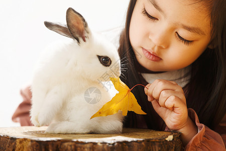 拿着铲子的兔子小女孩和小兔子背景