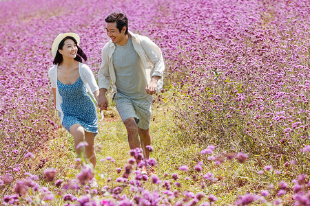 在麦田里奔跑的情侣青年夫妇手牵手在花海里奔跑背景