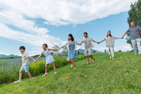 大家庭手牵手在草地上手牵手散步的幸福家庭背景