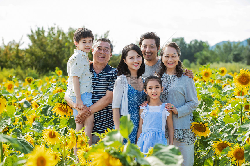 站在向日葵花海里的幸福家庭图片