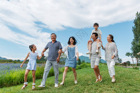 大家庭手牵手在草地上散步的幸福家庭背景