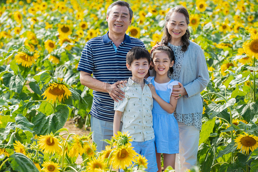 幸福家庭站在花海里图片