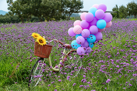 紫色浪漫气球花海里的自行车和气球背景