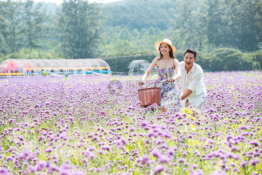 青年夫妇在花海里骑车图片