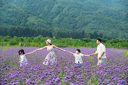 一家四口手牵手走在花海里图片