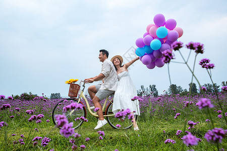 紫色浪漫气球浪漫夫妇在花海里骑车背景
