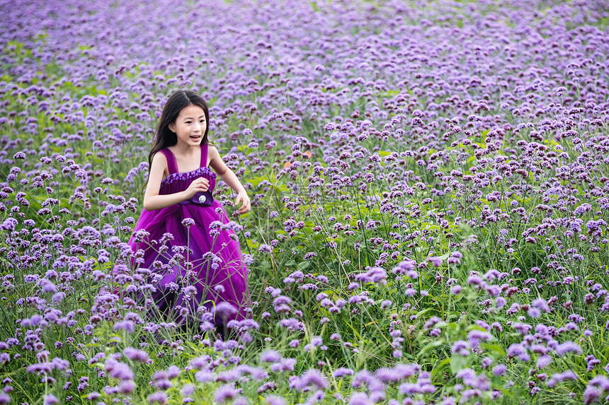 快乐的小女孩在花海里奔跑图片