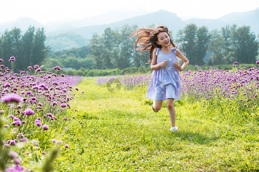 快乐的小女孩在花海里奔跑图片
