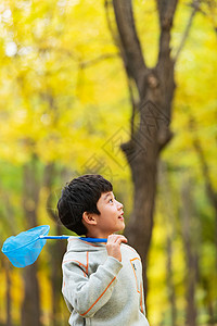 嬉戏蝴蝶快乐的小男孩在户外玩耍背景
