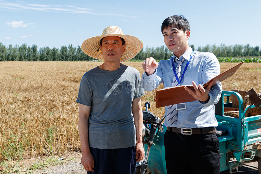 科研人员和农民在麦田旁交流图片