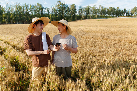 通讯科研科研人员和农民在麦田里交流技术背景