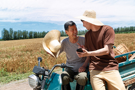 视频小麦农民坐在三轮车上使用手机背景