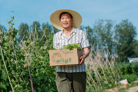乡村物流农民拿着一箱蔬菜背景