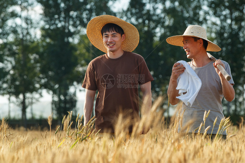 科研人员和农民在麦田里交流技术图片