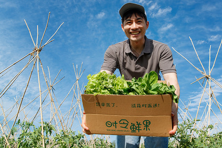 菜地里抱着新鲜蔬菜的快递员高清图片