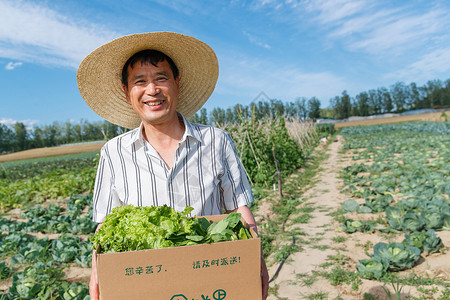 农民拿着一箱蔬菜图片