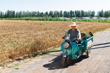 农作物工具驾驶三轮车的农民背景