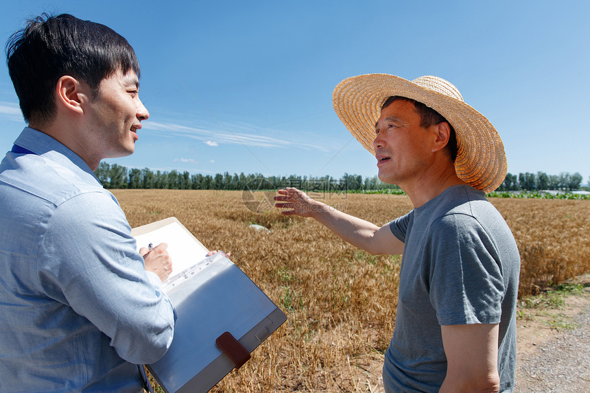 科研人员和农民在麦田里交流技术图片