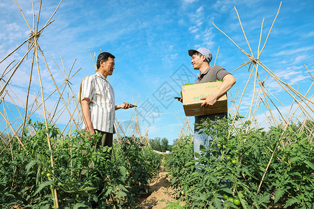 农民快递蔬菜图片