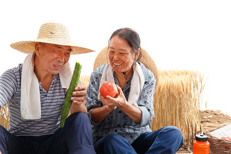 西红柿小屋农民夫妇坐在农田里吃东西背景