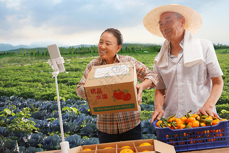 桔子种植农民在线直播销售农产品背景