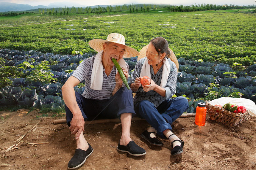 农民夫妇坐在农田里吃东西图片