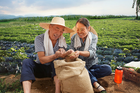 农民夫妇坐在农田里高清图片