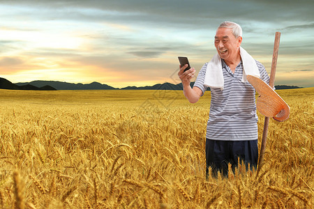 站在麦田里的农民看手机高清图片