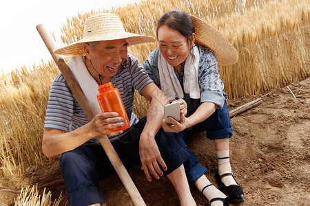 农民夫妇坐在麦田里用手机视频图片