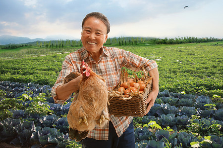 田间风光站在田间的农民拿着鸡和鸡蛋背景