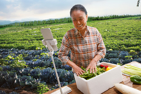 网红格子农民在线直播快递农产品背景