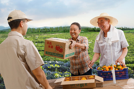 桔子种植农民在线直播快递农产品背景