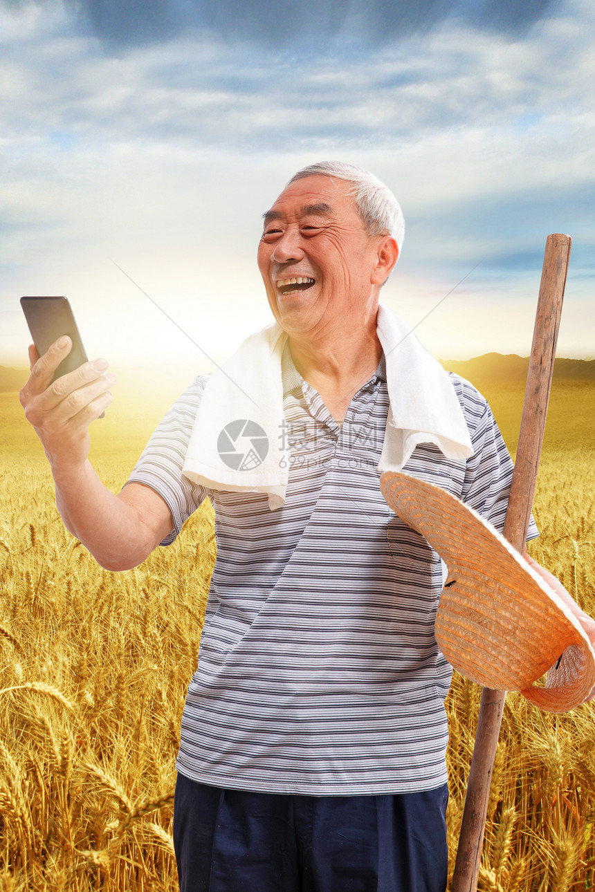站在麦田里的农民看手机图片