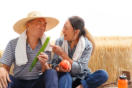 西红柿小屋农民夫妇坐在农田里吃东西背景