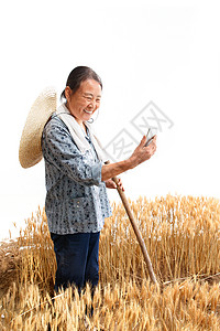 打电话小麦麦田里的农民用手机视频背景