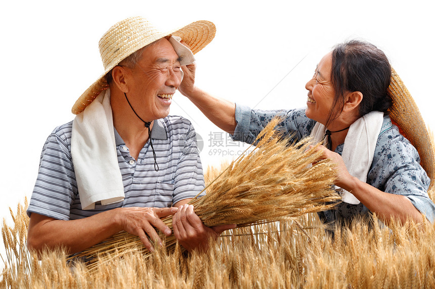 农民夫妇在麦田里劳动图片