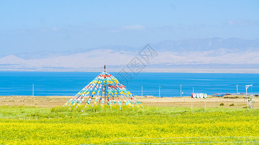 青甘旅游青海湖油菜花风光背景