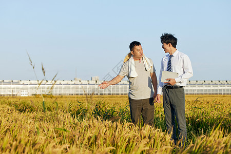 调研考察养殖人员麦田考察背景