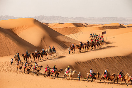 宁夏沙坡头沙漠中行进的骆驼队伍高清图片