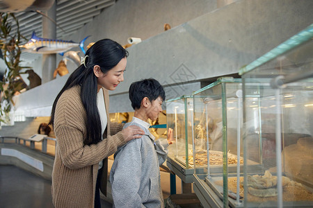 小男孩和妈妈参观动物化石高清图片