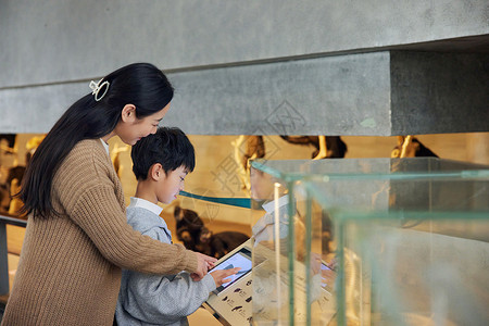 博物馆活动词汇年轻妈妈带着儿子查看屏幕科普背景