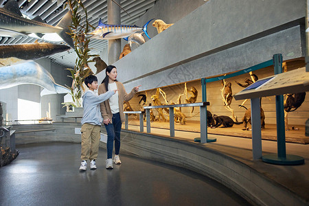 年轻妈妈带儿子参观动物展览高清图片