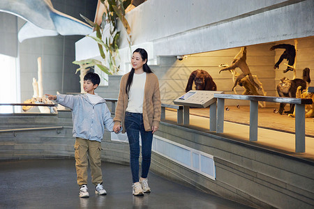 母亲带着孩子在自然博物馆参观背景图片