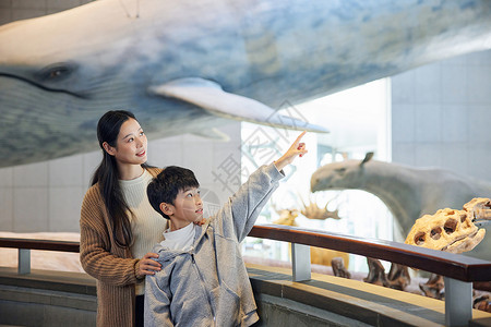 亲子鲸鱼妈妈带儿子参观海底动物模型背景