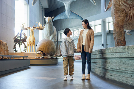 恐龙科普素材妈妈带儿子参观动物世界背景