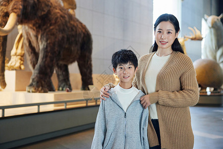 大象母子母子参加户外活动形象背景