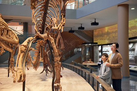 在自然博物馆参观化石的母子背景图片